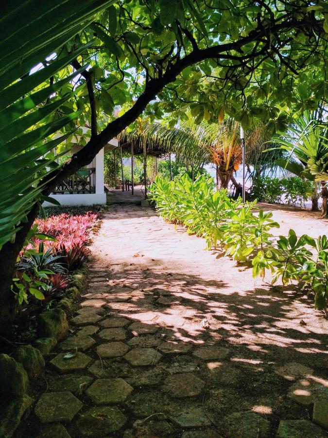 Panga Chumvi Beach Resort Matemwe  Buitenkant foto